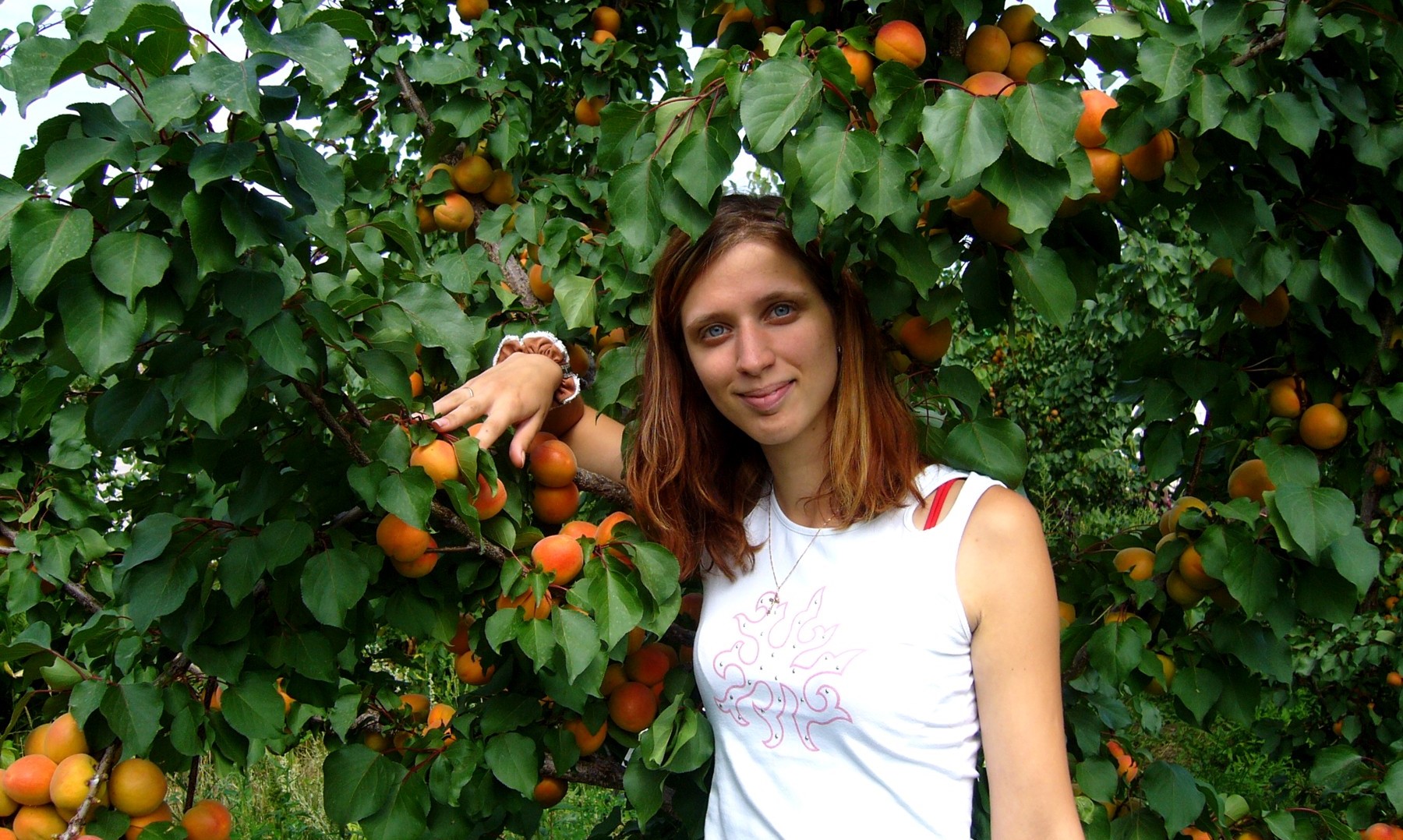 03_томск_территория