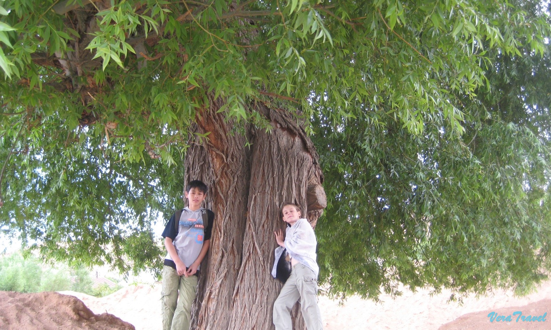 08_бишкек_тал