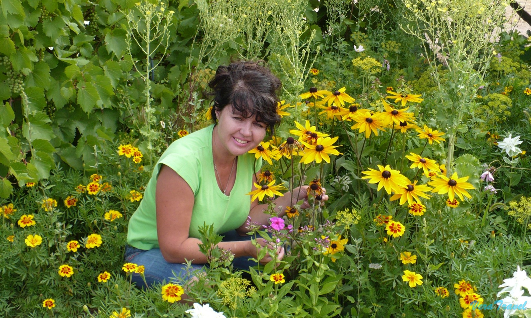 16_омск_на_территории