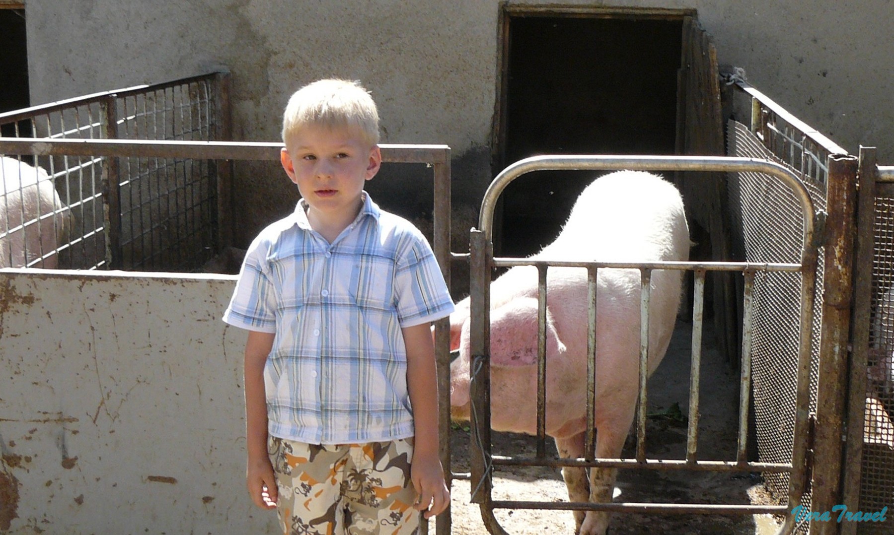 20_новосибирск_хоздвор