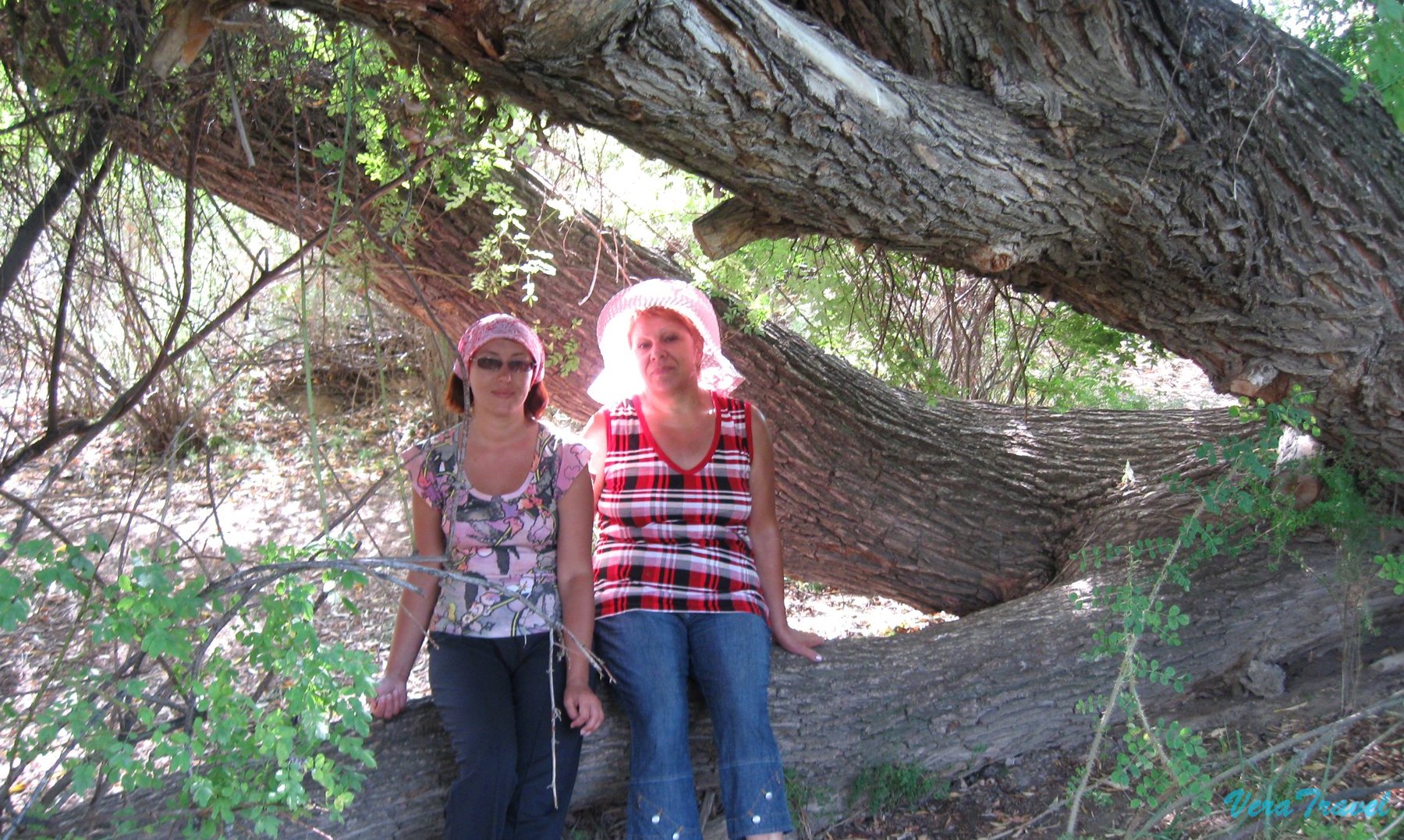 02_харьков_бишкек_манжылы_ата