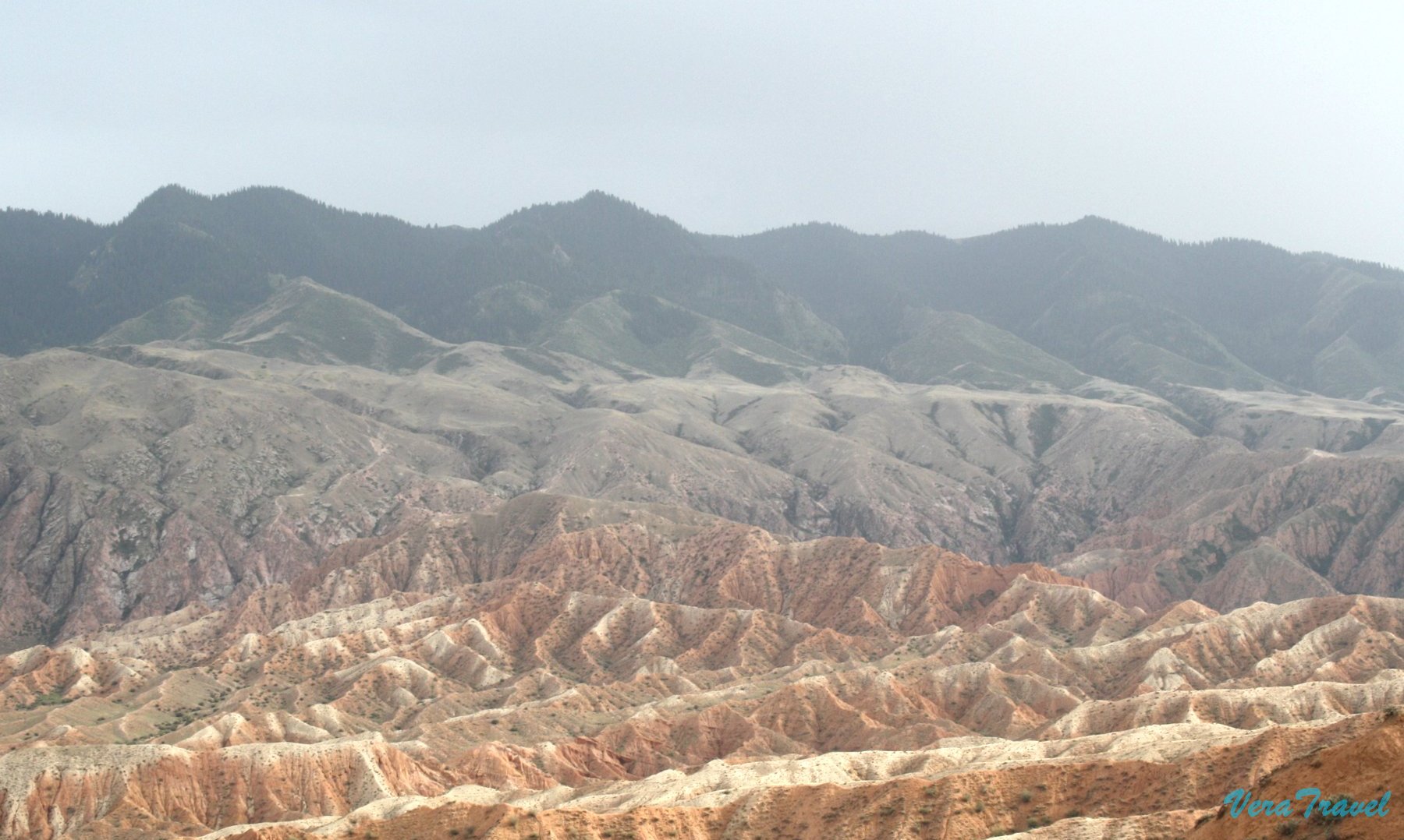 08_ландшафт_местности