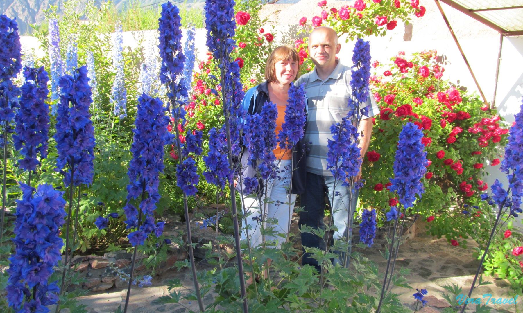 12_Кемерово_территория