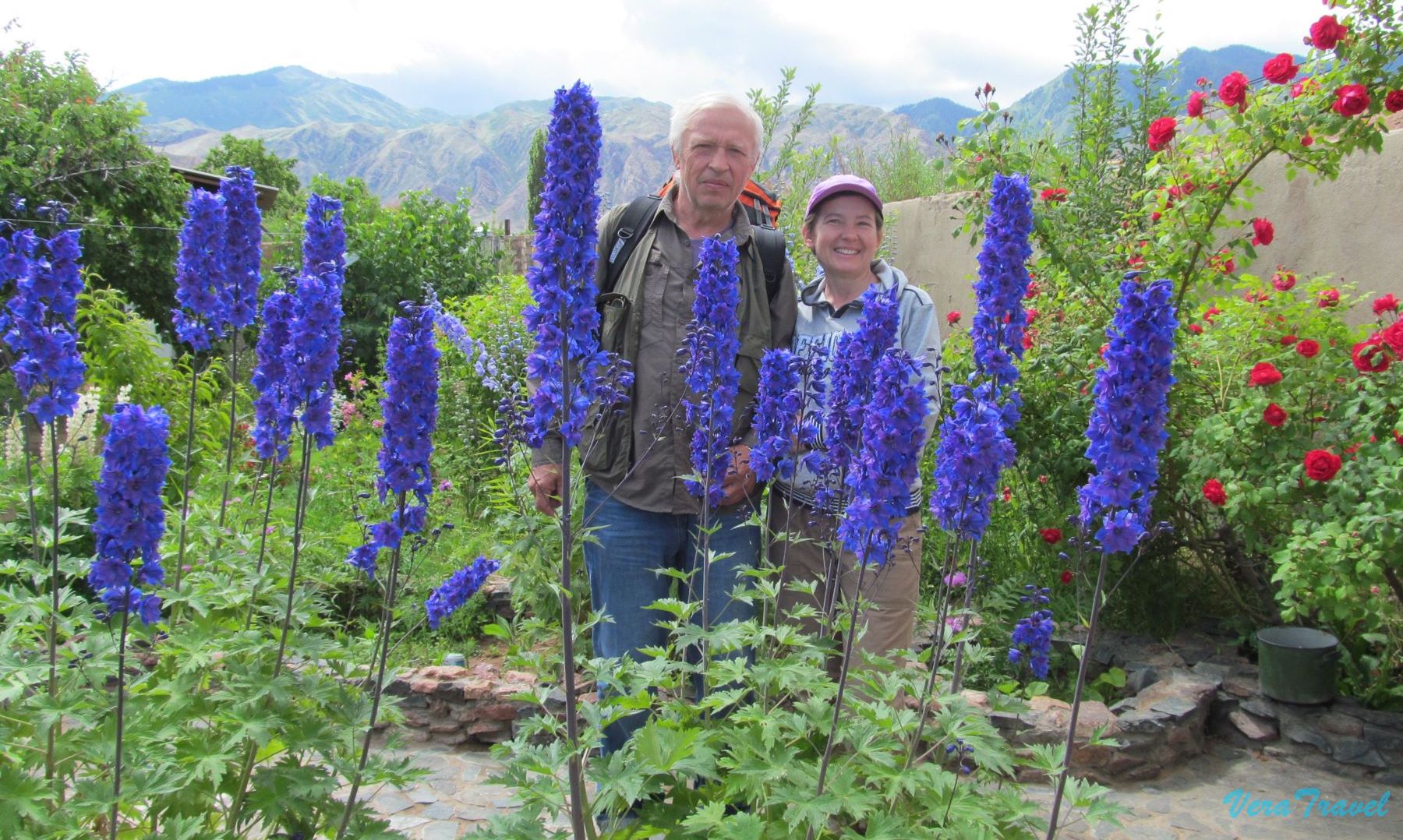 15_Алматы_территория