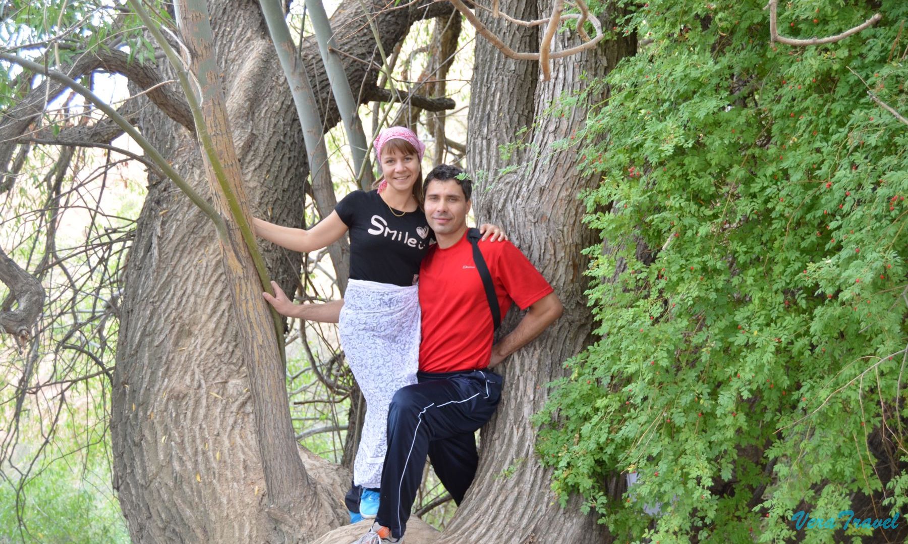 26_Новосибирск_манжылы