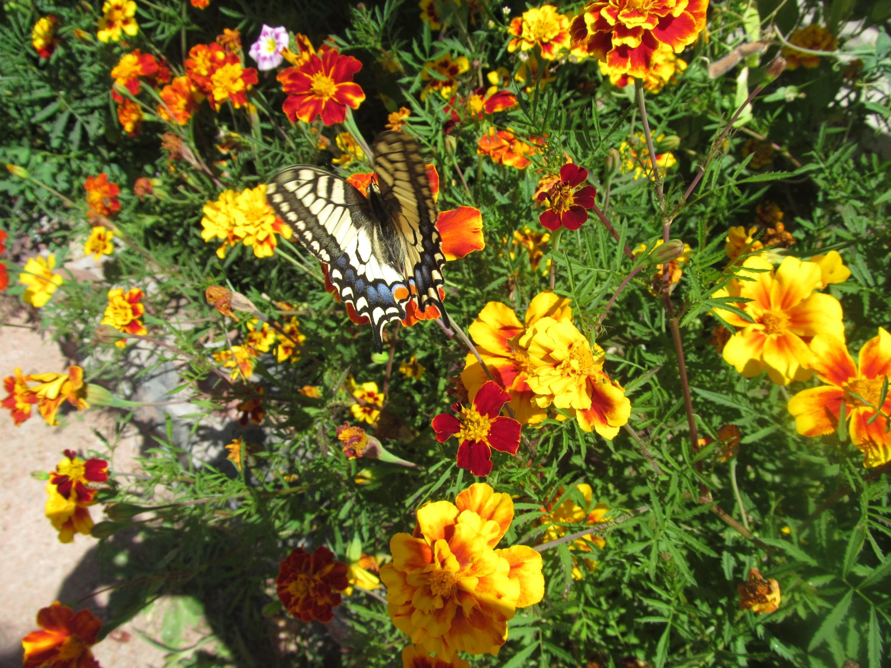 01_территория